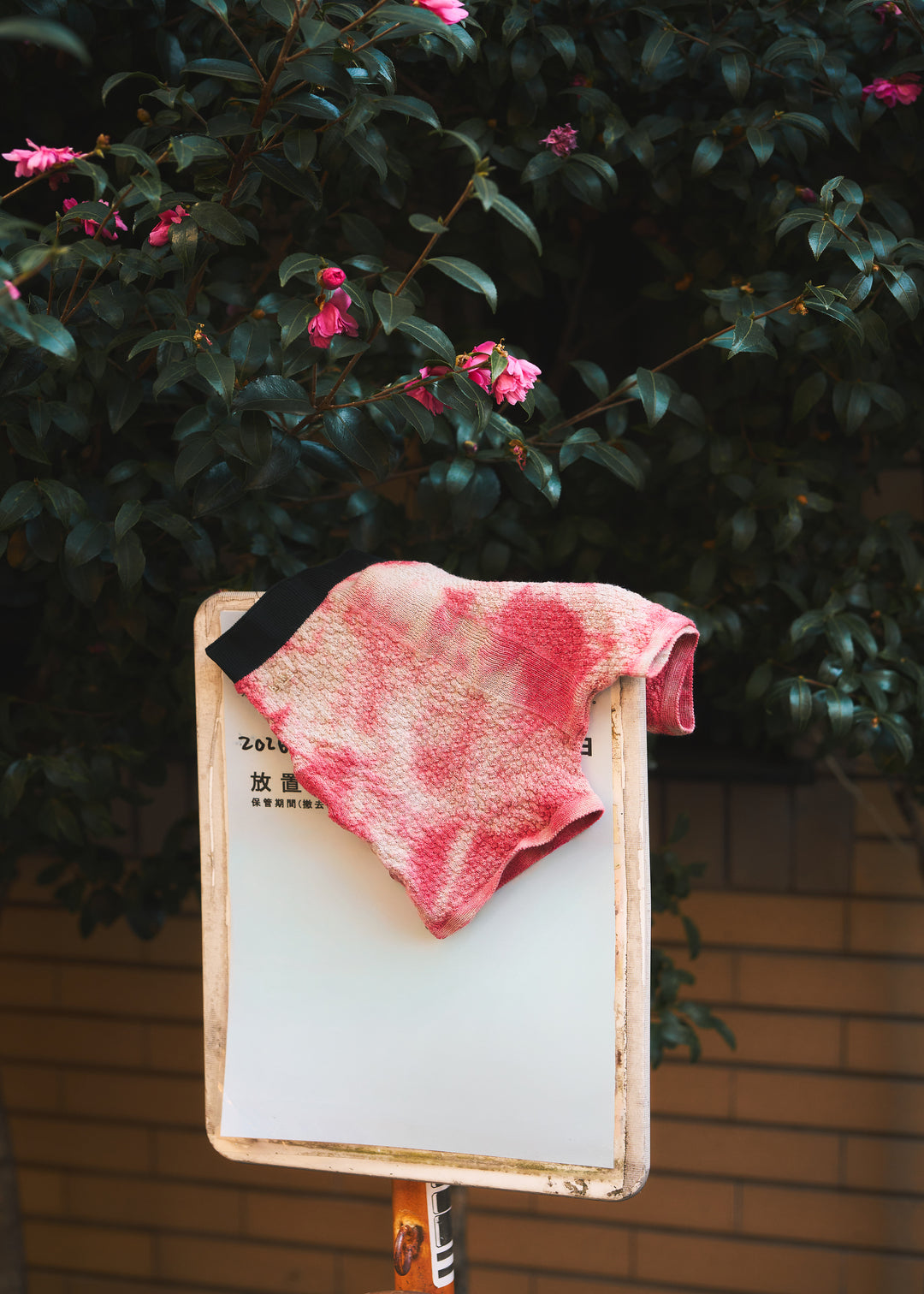 高輪店限定カラー（在庫は店舗に直接お問い合わせください）